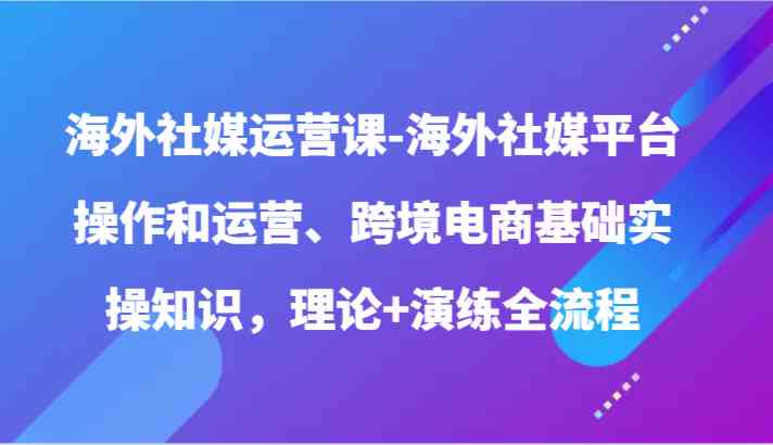 海外社媒运营课-海外社媒平台操作和运营、跨境电商基础实操知识，理论+演练全流程-古龙岛网创