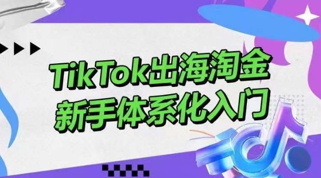 TikTok出海淘金，新手体系化入门，零基础快速入门，掌握短视频、直播带货等引流到变现的知识-古龙岛网创