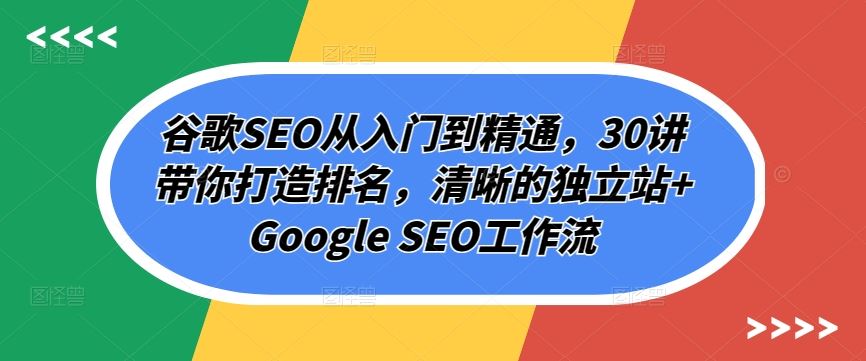 谷歌SEO从入门到精通，30讲带你打造排名，清晰的独立站+Google SEO工作流-古龙岛网创
