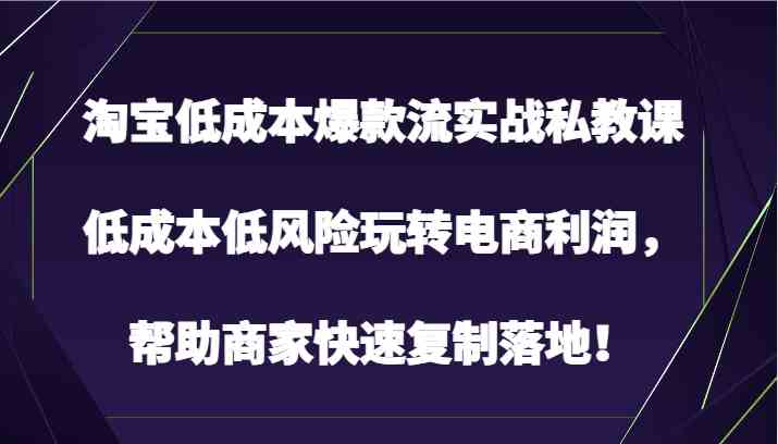淘宝低成本爆款流实战私教课，低成本低风险玩转电商利润，帮助商家快速复制落地！-古龙岛网创
