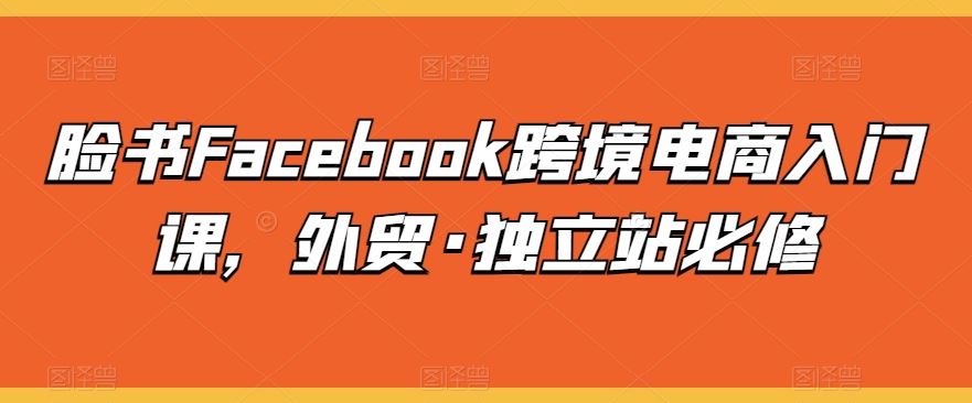 脸书Facebook跨境电商入门课,外贸·独立站必修