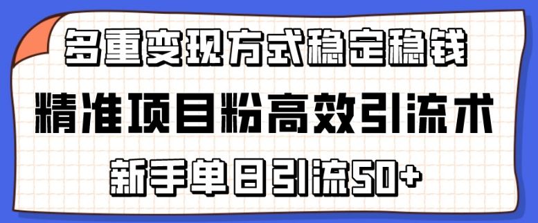 精准项目粉高效引流术，新手单日引流50+，多重变现方式稳定赚钱【揭秘】-古龙岛网创