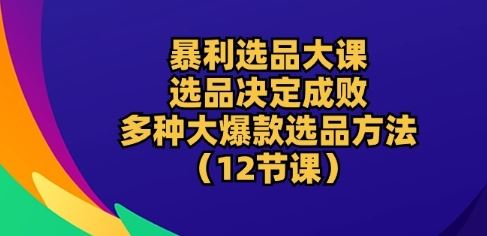 暴利选品大课：选品决定成败，教你多种大爆款选品方法(12节课)-古龙岛网创