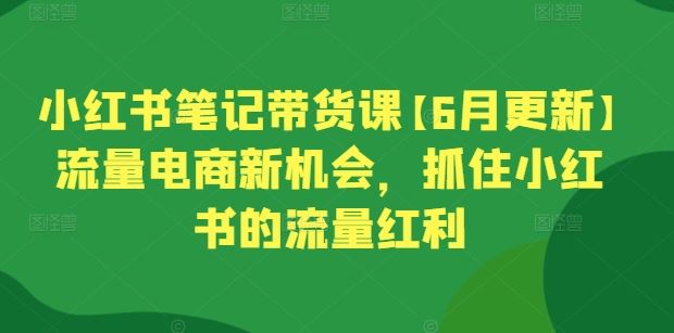 小红书笔记带货课【6月更新】流量电商新机会，抓住小红书的流量红利-古龙岛网创