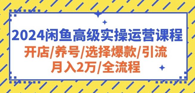 2024闲鱼高级实操运营课程：开店/养号/选择爆款/引流/月入2万/全流程-古龙岛网创