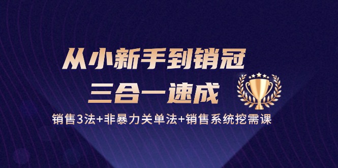 从小新手到销冠三合一速成：销售3法+非暴力关单法+销售系统挖需课 (27节)-古龙岛网创