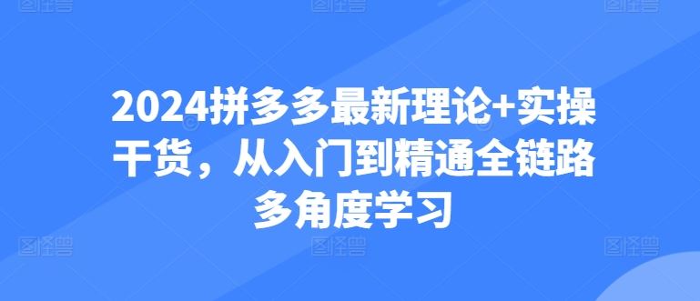 2024拼多多最新理论+实操干货，从入门到精通全链路多角度学习-古龙岛网创