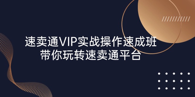 （10935期）速卖通 VIP实战操作-速成班，带你玩转速卖通平台（23节）-古龙岛网创