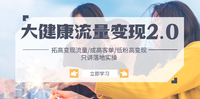 （10871期）大健康 流量 变现2.0：拓高变现 流量/成高客单/低粉高变现/只讲落地实战-古龙岛网创