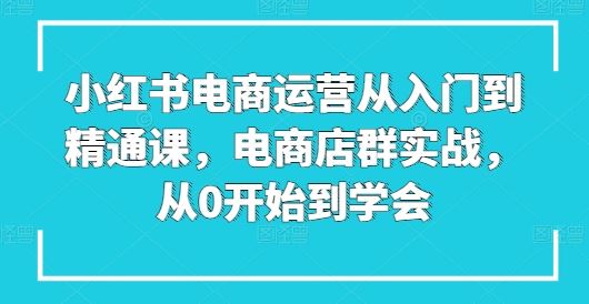 小红书电商运营从入门到精通课，电商店群实战，从0开始到学会-古龙岛网创
