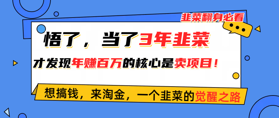 （10759期）悟了，当了3年韭菜，才发现网赚圈年赚100万的核心是卖项目，含泪分享！-古龙岛网创