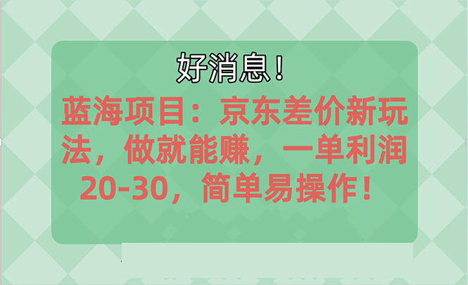 (10989期)越早知道越能赚到钱的蓝海项目:京东大平台操作,一单利润20-30,简单…-古龙岛网创