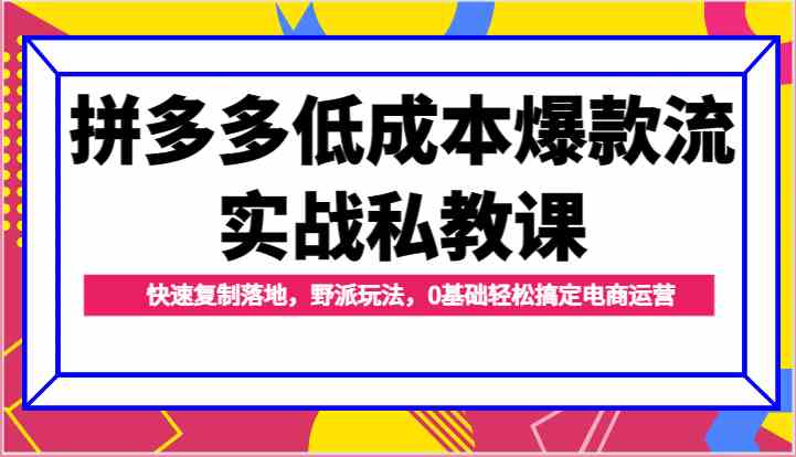 拼多多低成本爆款流实战私教课，快速复制落地，野派玩法，0基础轻松搞定电商运营-古龙岛网创