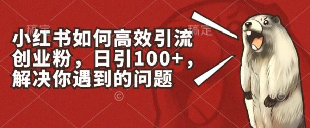 小红书如何高效引流创业粉，日引100+，解决你遇到的问题【揭秘】-古龙岛网创