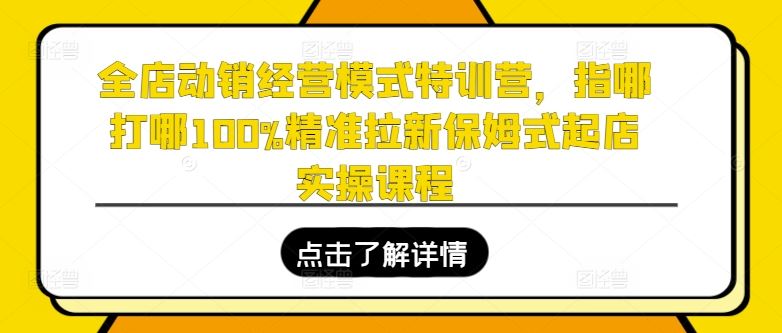 全店动销经营模式特训营,指哪打哪100%精准拉新保姆式起店实操课程