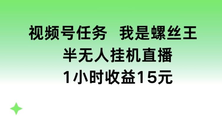 视频号任务，我是螺丝王， 半无人挂机1小时收益15元【揭秘】-古龙岛网创