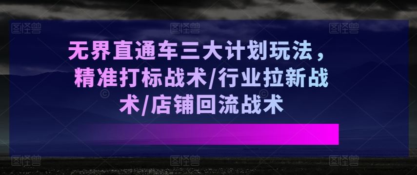 无界直通车三大计划玩法，精准打标战术/行业拉新战术/店铺回流战术-古龙岛网创