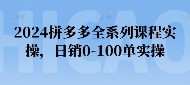 2024拼多多全系列课程实操，日销0-100单实操【必看】-古龙岛网创