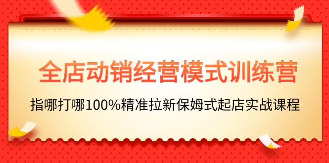 （11460期）全店动销-经营模式训练营，指哪打哪100%精准拉新保姆式起店实战课程-古龙岛网创
