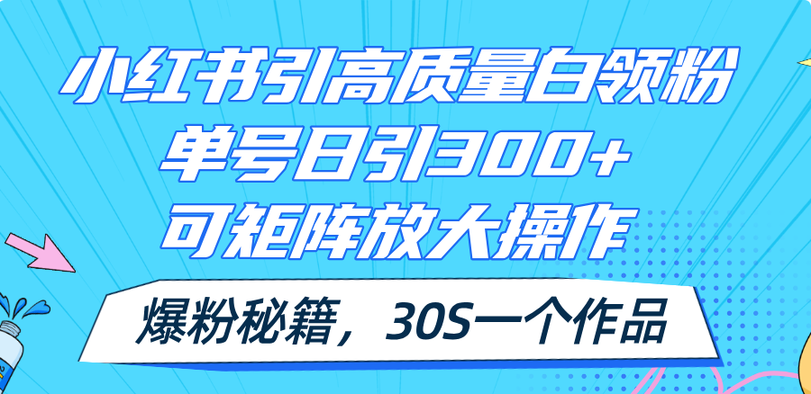 （11692期）小红书引高质量白领粉，单号日引300+，可放大操作，爆粉秘籍！30s一个作品-古龙岛网创
