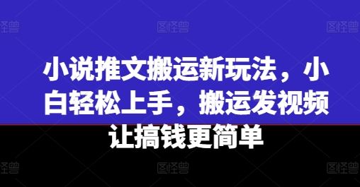 小说推文搬运新玩法，小白轻松上手，搬运发视频让搞钱更简单-古龙岛网创