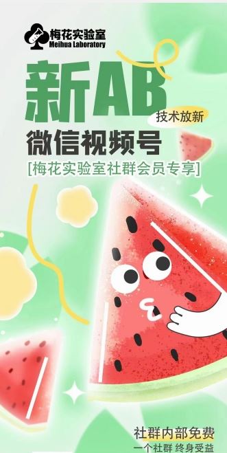 梅花实验室2024年AB技术视频号AB合成破解版-古龙岛网创
