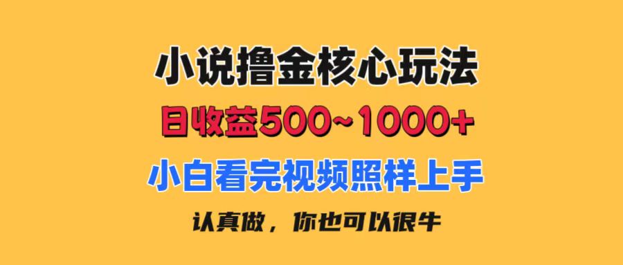 （11461期）小说撸金核心玩法，日收益500-1000+，小白看完照样上手，0成本有手就行-古龙岛网创