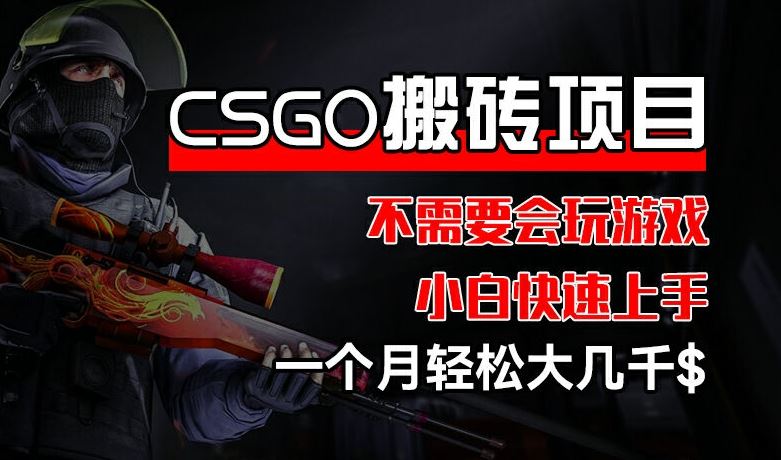 CSGO 装备搬砖项目，操作简单，不需要会玩游戏，小白也能快速上手，一个月轻松大几千【揭秘】-古龙岛网创