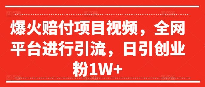 爆火赔付项目视频，全网平台进行引流，日引创业粉1W+【揭秘】-古龙岛网创