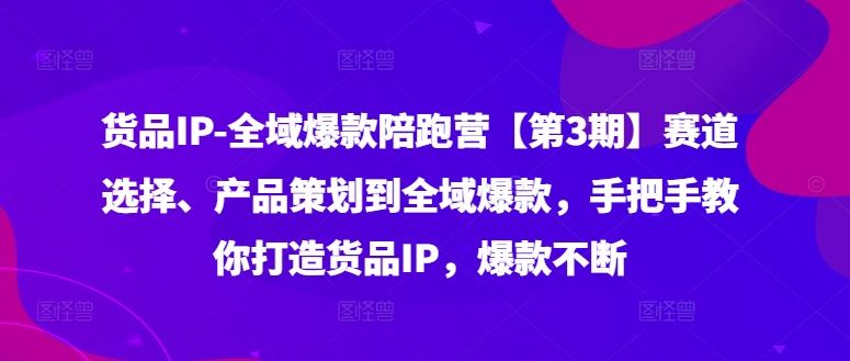 货品IP全域爆款陪跑营【第3期】赛道选择、产品策划到全域爆款，手把手教你打造货品IP，爆款不断-古龙岛网创