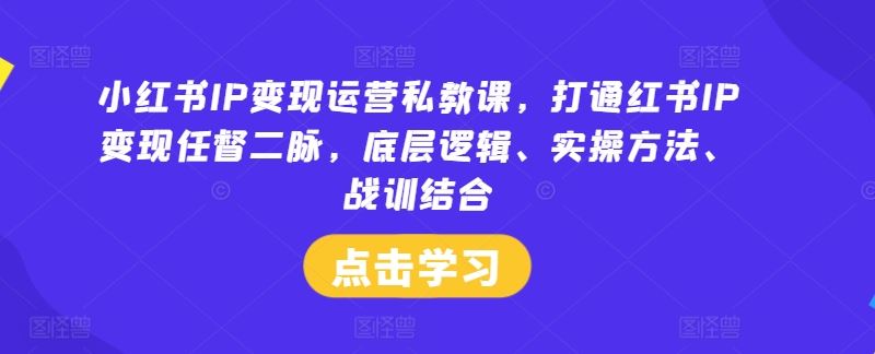 小红书IP变现运营私教课,打通红书IP变现任督二脉,底层逻辑、实操方法、战训结合