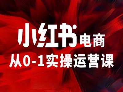小红书电商从0-1实操运营课，让你从小白到精英-古龙岛网创