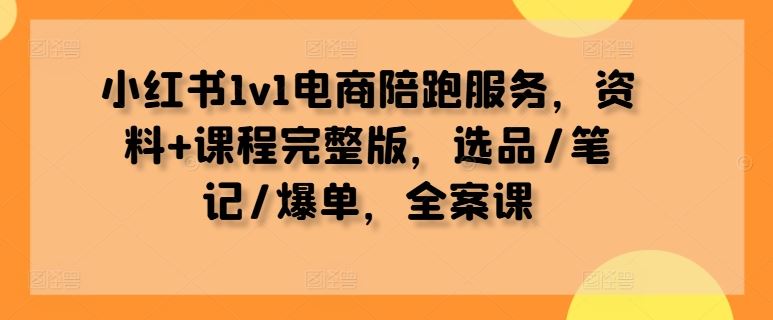 小红书1v1电商陪跑服务，资料+课程完整版，选品/笔记/爆单，全案课-古龙岛网创