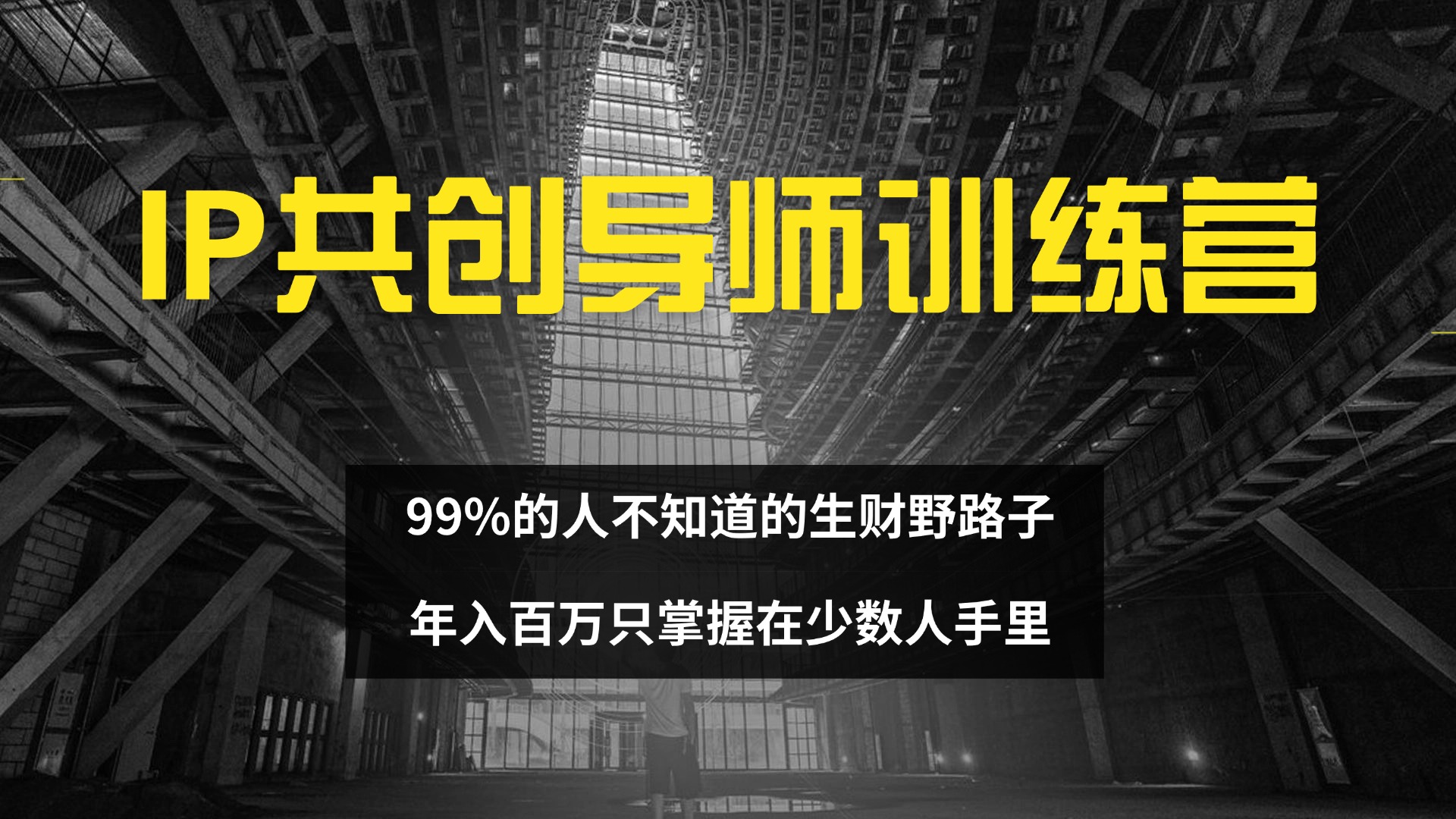 (12504期)IP共创导师训练营 99%的人不知道的生财野路子 只掌握在少数人手里-古龙岛网创