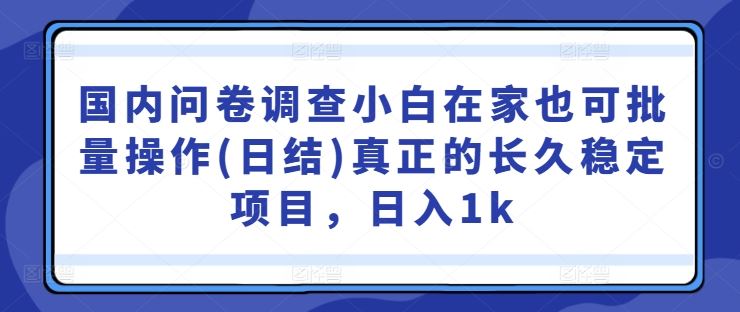 国内问卷调查小白在家也可批量操作(日结)真正的长久稳定项目,日入1k【揭秘】