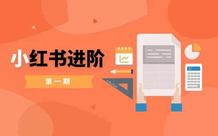 小红书进阶篇，零基础小白实战课，普通人变现的课程-古龙岛网创