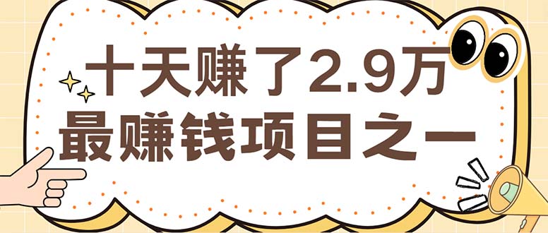 （12491期）闲鱼小红书赚钱项目之一，轻松月入6万+项目-古龙岛网创