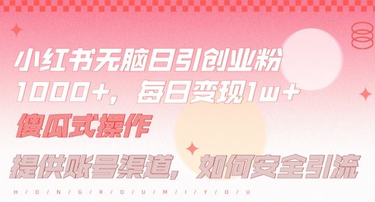 小红书无脑每日引流创业粉500+，小白每天只花半小时，躺赚长尾收益【揭秘】-古龙岛网创