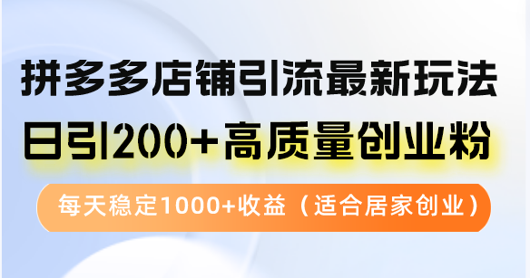 （12893期）拼多多店铺引流最新玩法，日引200+高质量创业粉，每天稳定1000+收益（…-古龙岛网创