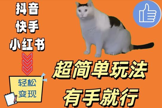 超简单玩法,有手就行,靠猫咪视频日入500+【揭秘】
