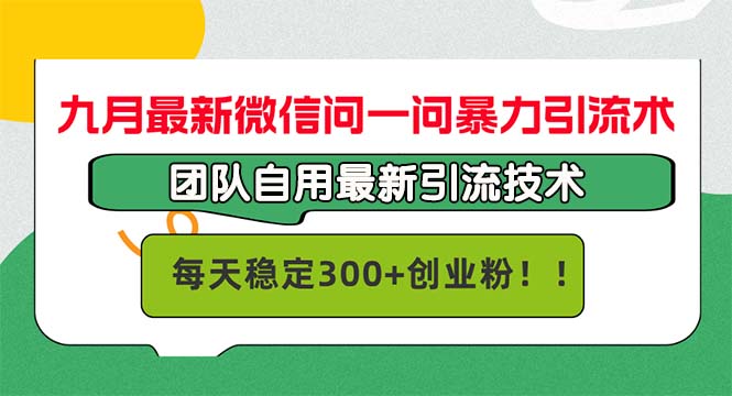 （12735期）九月最新微信问一问暴力引流术，团队自用引流术，每天稳定300+创…-古龙岛网创