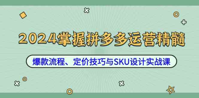 2024掌握拼多多运营精髓：爆款流程、定价技巧与SKU设计实战课-古龙岛网创