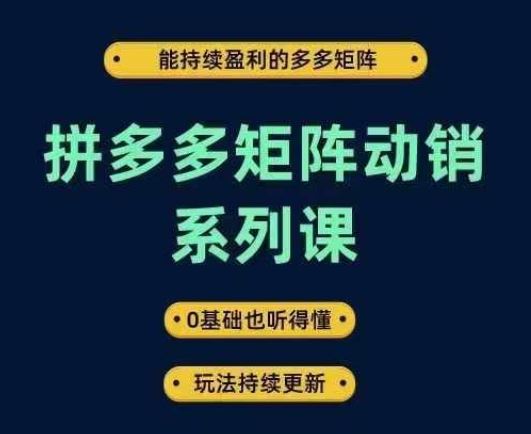 拼多多矩阵动销系列课,能持续盈利的多多矩阵,0基础也听得懂,玩法持续更新