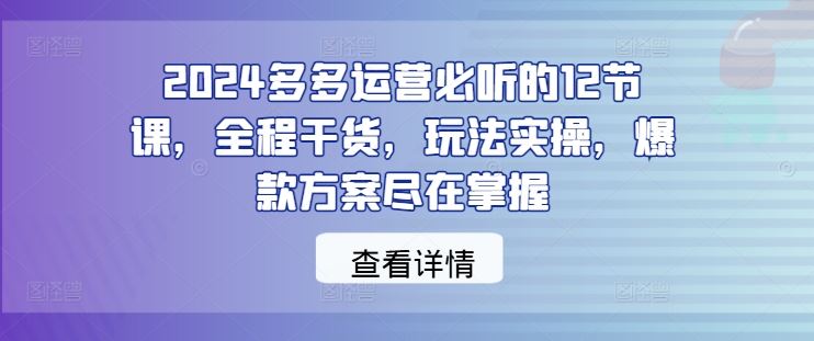 2024多多运营必听的12节课，全程干货，玩法实操，爆款方案尽在掌握-古龙岛网创