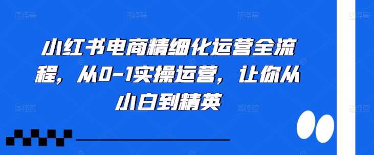 小红书电商精细化运营全流程，从0-1实操运营，让你从小白到精英-古龙岛网创