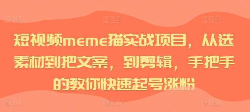 短视频meme猫实战项目，从选素材到把文案，到剪辑，手把手的教你快速起号涨粉-古龙岛网创