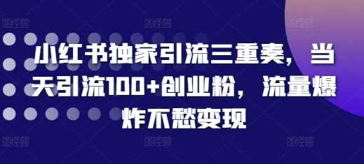 小红书独家引流三重奏，当天引流100+创业粉，流量爆炸不愁变现【揭秘】-古龙岛网创