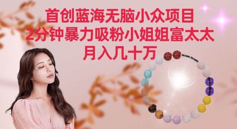 首创蓝海无脑小众项目，2分钟暴力吸粉小姐姐富太太，月入几十万【揭秘】-古龙岛网创