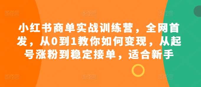 小红书商单实战训练营，全网首发，从0到1教你如何变现，从起号涨粉到稳定接单，适合新手-古龙岛网创