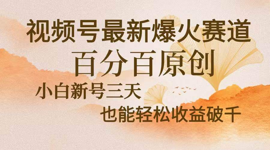 （13225期）视频号最新爆火赛道，中老年粉深信不疑，百分百原创，新号三天收益破千+-古龙岛网创